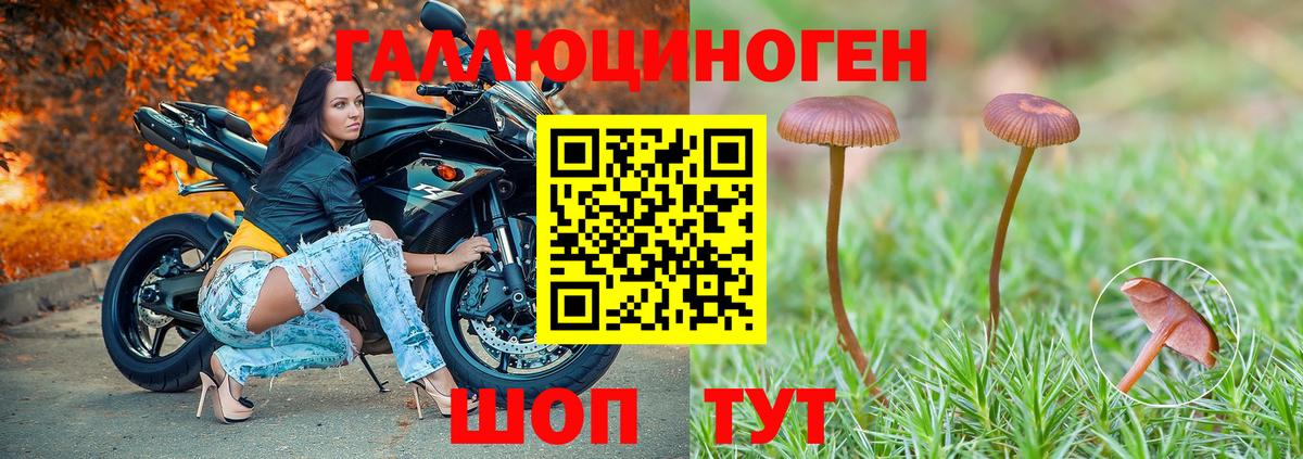 Псилоцибиновые грибы MAGIC MUSHROOMS Красногорск
